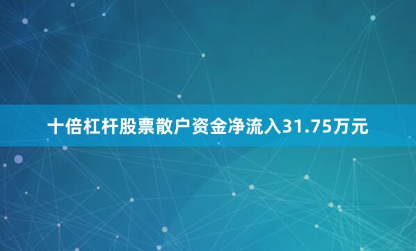 十倍杠杆股票散户资金净流入31.75万元